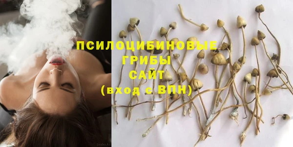первитин Богородицк