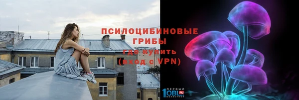 первитин Богородицк