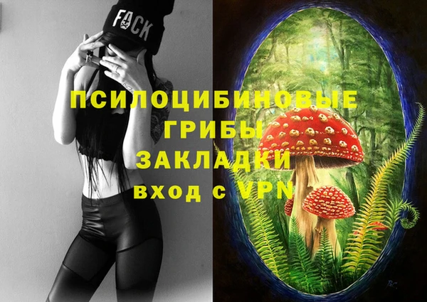 соль курить ск Горняк
